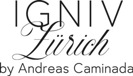 Logo IGNIV Zürich