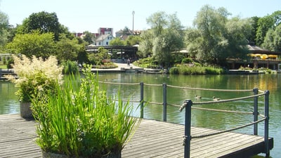 Seegarten Atmosphäre