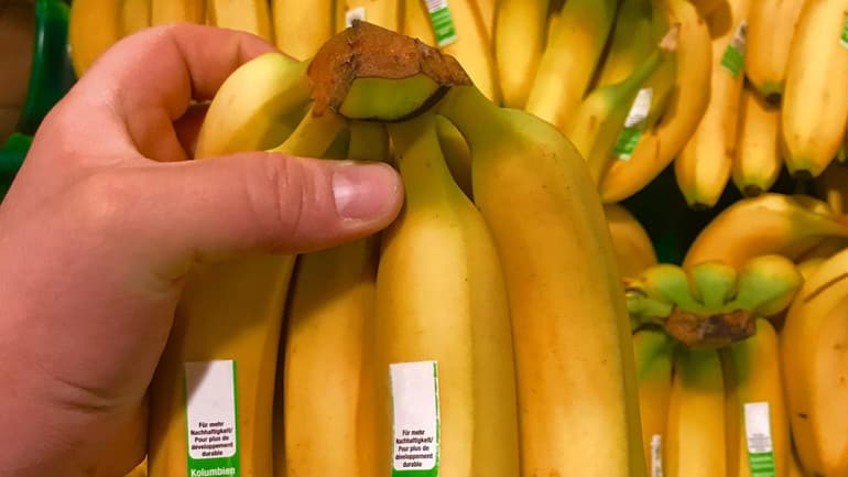 Mano con un casco di banane