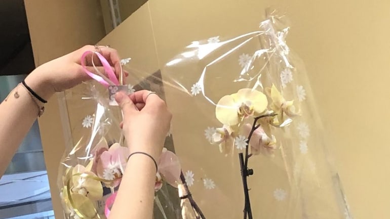 Dame packt Orchidee ein