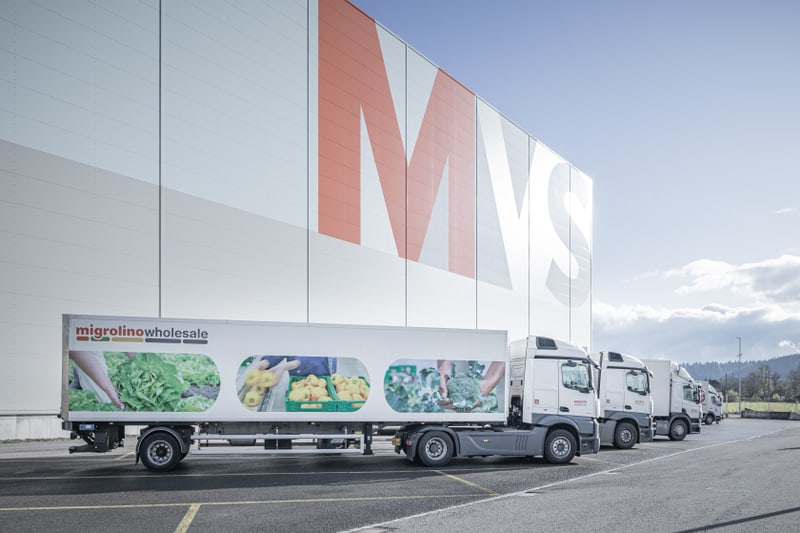 Titelbild migrolino wholesale LKW
