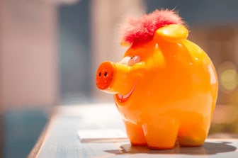 Migi Schwein