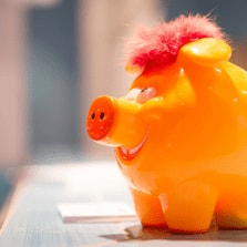 Migi Schwein