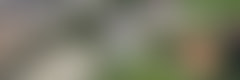Milandia Migros Zürich aus der Vogelperspektive
